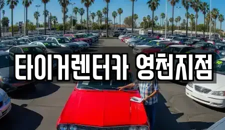 경북 영천시 도동 렌트카 전문 타이거렌터카 영천지점