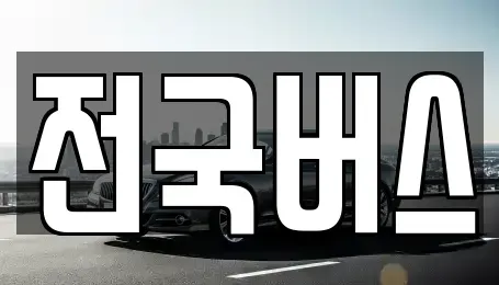 경북 영천시 도동 중고차 전문 전국버스