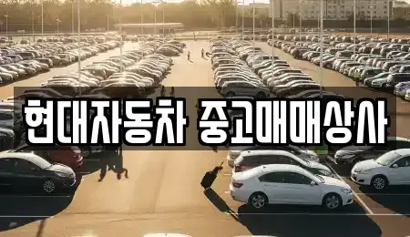경북 영천시 도동 중고차 전문 현대자동차 중고매매상사
