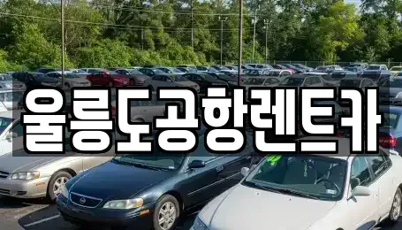경북 울릉군 렌트카 전문 울릉도공항렌트카