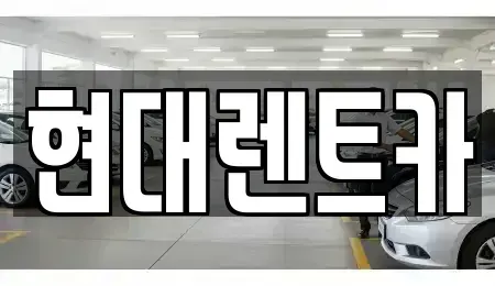 경북 울진군 울진읍 렌트카 전문 현대렌트카