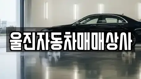 경북 울진군 울진읍 중고차매매,단기렌트카,중고차매입,장기렌트카,중고차,렌트카