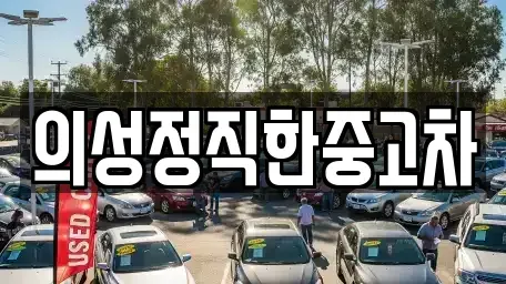 경북 의성군 안사면 중고차,렌트카,중고차매입,중고차매매,장기렌트카,단기렌트카