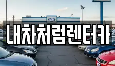 경북 칠곡군 동명면 렌트카 전문 내차처럼렌터카