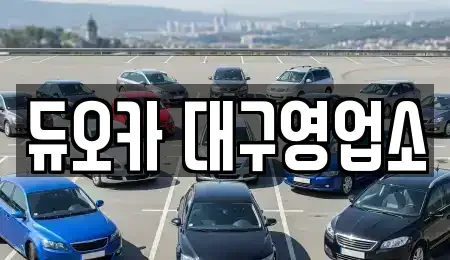 경북 칠곡군 동명면 렌트카 전문 듀오카 대구영업소
