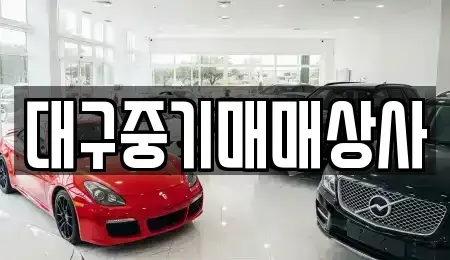 경북 칠곡군 동명면 중고차 전문 대구중기매매상사