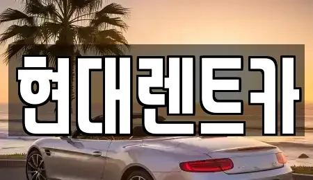 경북 포항시 남구 렌트카 전문 현대렌트카