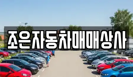 경북 포항시 남구 중고차 전문 조은자동차매매상사