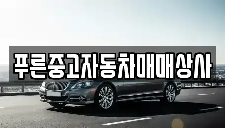 경북 포항시 남구 중고차 전문 푸른중고자동차매매상사