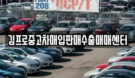 경북 포항시 남구 중고차매입 전문 김프로중고차매입판매수출매매센터