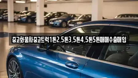 경북 포항시 남구 중고차매입 전문 중고화물차중고트럭1톤2.5톤3.5톤4.5톤5톤매매수출매입