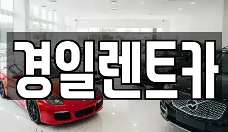 경북 포항시 남구 효자동 렌트카 전문 경일렌트카