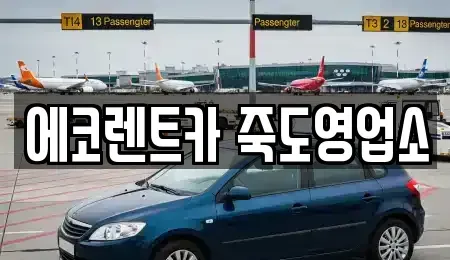 경북 포항시 남구 효자동 렌트카 전문 에코렌트카 죽도영업소