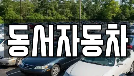 경상남도 거제시 문동동 중고차,렌트카,중고차매입,중고차매매,장기렌트카,단기렌트카