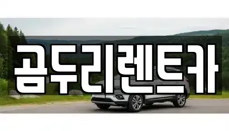 경상남도 거제시 연초면 렌트카,단기렌트카,장기렌트카,중고차,중고차매매,중고차매입