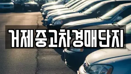 경상남도 거제시 연초면 중고차 전문 거제중고차경매단지