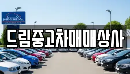 경상남도 거제시 연초면 중고차 전문 드림중고차매매상사