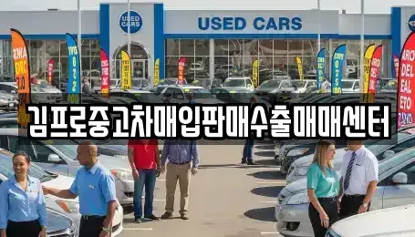 경상남도 거제시 연초면 중고차매입 전문 김프로중고차매입판매수출매매센터