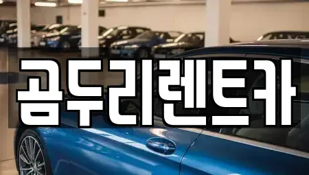 경상남도 거제시 장목면 렌트카 전문 곰두리렌트카