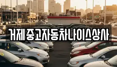 경상남도 거제시 장목면 중고차 전문 거제중고자동차나이스상사