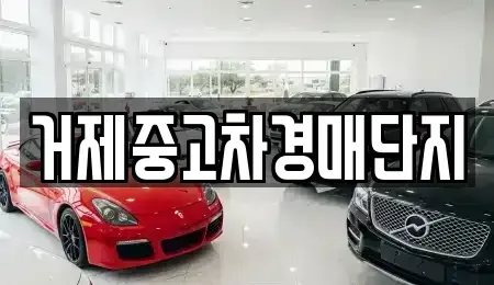 경상남도 거제시 장목면 중고차 전문 거제중고차경매단지