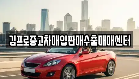 경상남도 고성군 고성읍 중고차 전문 김프로중고차매입판매수출매매센터