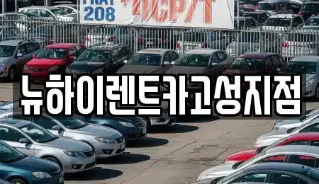 경상남도 고성군 삼산면 렌트카 전문 뉴하이렌트카고성지점