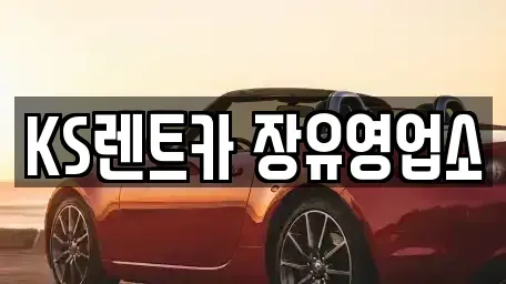 경상남도 김해시 부곡동 렌트카 전문 KS렌트카 장유영업소