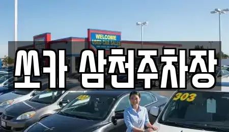 경상남도 밀양시 남포동 렌트카 전문 쏘카 삼천주차장