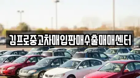 경상남도 밀양시 남포동 중고차 전문 김프로중고차매입판매수출매매센터