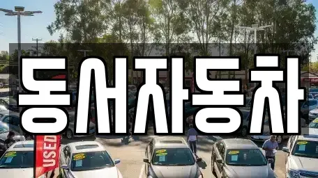 경상남도 사천시 신벽동 장기렌트카,중고차,렌트카,단기렌트카,중고차매입,중고차매매
