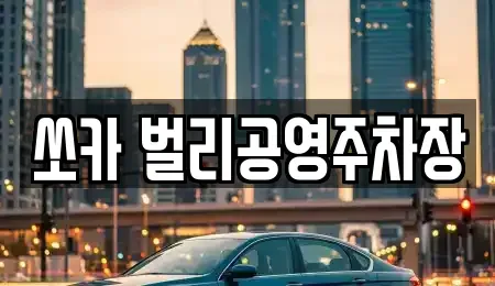 경상남도 사천시 향촌동 렌트카 전문 쏘카 벌리공영주차장