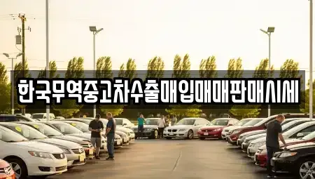 경상남도 사천시 향촌동 장기렌트카,중고차,렌트카,단기렌트카,중고차매입,중고차매매