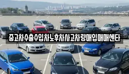 경상남도 사천시 향촌동 중고차매입 전문 중고차수출수입차노후차사고차량매입매매센타