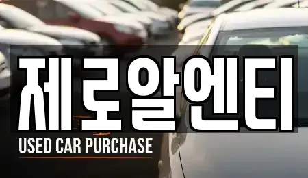 경상남도 창원시 마산합포구 신포동1가 렌트카 전문 제로알엔티