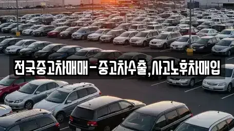 경상남도 창원시 마산합포구 신포동1가 단기렌트카,중고차매입,중고차매매,중고차,렌트카,장기렌트카