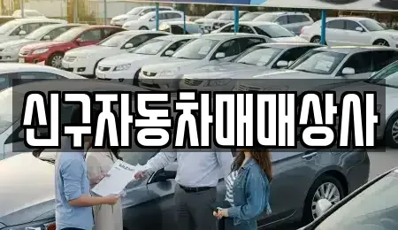 경상남도 창원시 마산합포구 장군동4가 중고차매매 전문 신구자동차매매상사