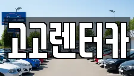 경상남도 창원시 성산구 적현동 렌트카 전문 고고렌터카