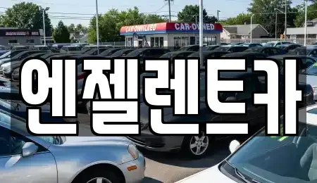 경상남도 창원시 성산구 적현동 렌트카 전문 엔젤렌트카