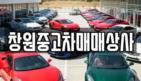 경상남도 창원시 성산구 적현동 중고차 전문 창원중고차매매상사