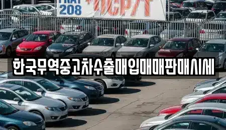 경상남도 창원시 성산구 적현동 중고차매입 전문 한국무역중고차수출매입매매판매시세