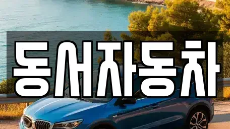 경상남도 창원시 진해구 수도동 중고차매매 전문 동서자동차