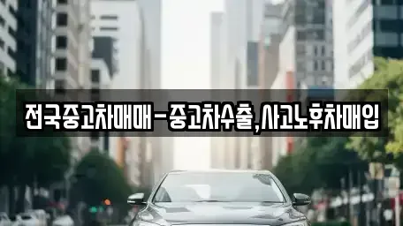 경상남도 창원시 진해구 수도동 단기렌트카,중고차매입,중고차매매,중고차,렌트카,장기렌트카