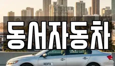 경상남도 창원시 진해구 창선동 중고차 전문 동서자동차