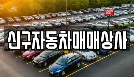 경상남도 창원시 진해구 창선동 중고차 전문 신구자동차매매상사