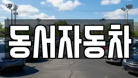 경상남도 창원시 진해구 통신동 중고차매매 전문 동서자동차