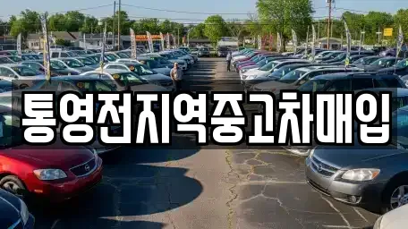 경상남도 통영시 중고차 전문 통영전지역중고차매입