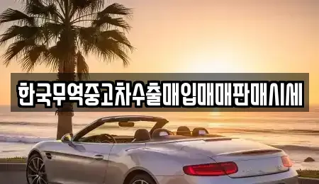 경상남도 함안군 군북면 중고차매매 전문 한국무역중고차수출매입매매판매시세