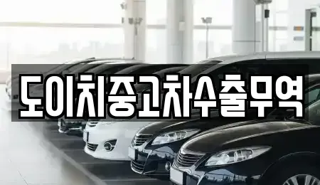 경상북도 경산시 여천동 중고차 전문 도이치중고차수출무역