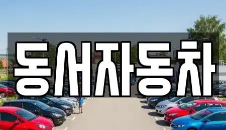 경상북도 경산시 여천동 중고차 전문 동서자동차